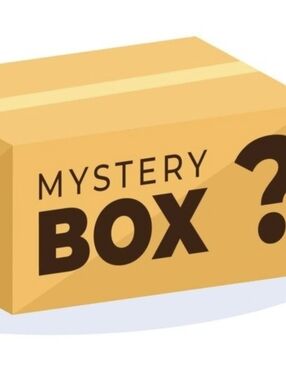 Resellers Mystery Clothing Bundle 10 Items Minimum